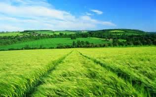 Campo , Metán · Excelente Campo en Salta de 8.000 Ha Agricolas