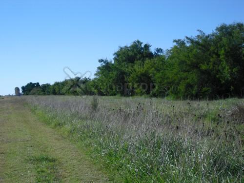 Campo · 25m² · 1 Ambiente