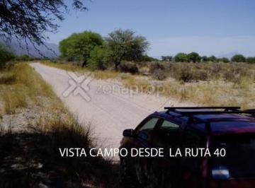 Campo · 10m² · 1 Ambiente · 2.250 Ha Tierras Para Viñedos R. 40 - Tafí - Tucuman