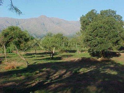 Terreno · 10000m²