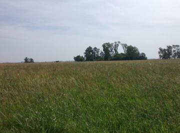 Campo · 24m² · 1 Ambiente · 24 Has Navarro