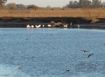Campo · 3100000m² · Campo en Lobos