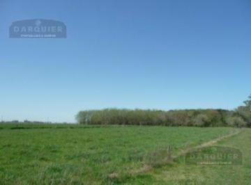 Campo · 1540000m² · Campo en Cañuelas