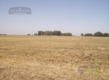 Campo · 530000m² · Campo en Punta Indio