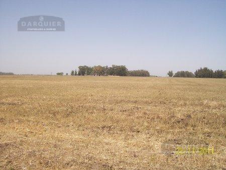 Campo · 530000m²