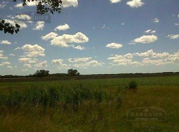 Campo · 800000m² · Campo en General Madariaga