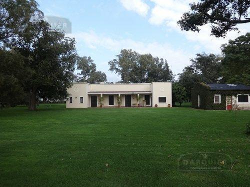 Campo · 600000m²