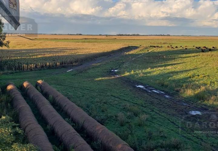 Campo · 1550000m²