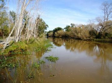 Quinta vacacional de 5 ambientes, San Fernando · Canal Arana 100 - Islas - San Fernando