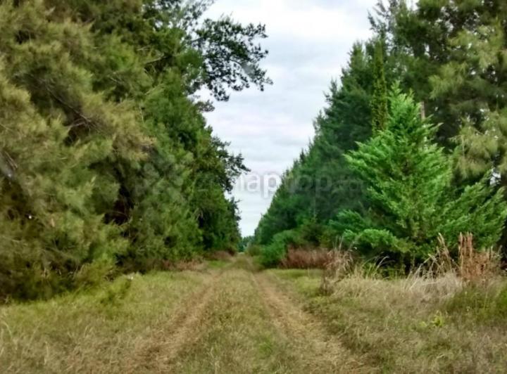 Campo · 5m² · 1 Ambiente