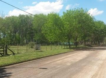 HOG-HOG-211_2 · Areco - Lote 4300 m² Apto Emprend Turistico
