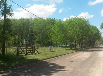 HOG-HOG-211_2 · Areco - Lote 4300 m² Apto Emprend Turistico