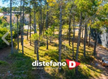 DIT-DT1-3633_2 · Lote. | Bunge, Intendente
