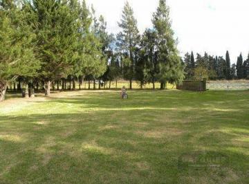 Campo · 100000m² · Campo en San Pedro