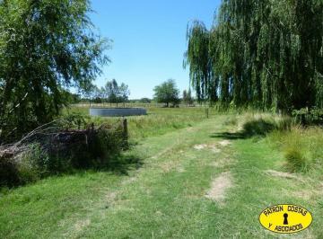 Campo · 100m² · 4 Ambientes · 1674hp - 12 Ha Casa Galpón Para Habilitación Criadero