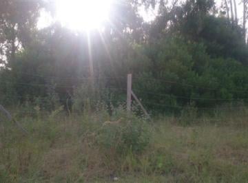 DIT-DT1-4026_2 · Lote. | Arcachon