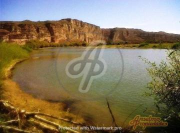 Campo · 59000ha · Propiedades Rurales - Ganadera - Los Altares
