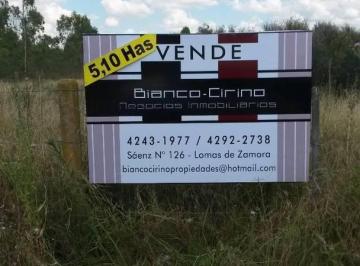 Terreno · 50000m² · Excelente Fracción 5 Has, en Guernica (Pte. Perón)