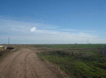 GNP-GNP-163_2 · Campo Ganadero en Venta 1360ha
