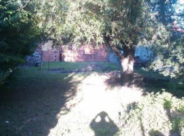 GNP-GNP-167_2 · Lote. | Rio Negro 11