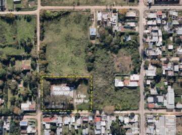 Bodega-Galpón · 1000m² · 1 Cochera · Depósito en Venta en La Plata