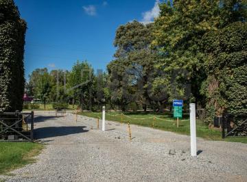 HOG-HOG-244_2 · Lote | Ruta Nacional Nº 8