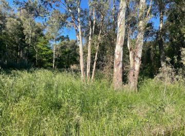 Campo , San Miguel del Monte · 1 Hectarea en San Miguel del Monte
