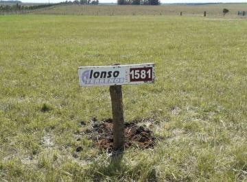 Terreno , Chapadmalal · Terreno en Playa Los Lobos | Chapadmalal