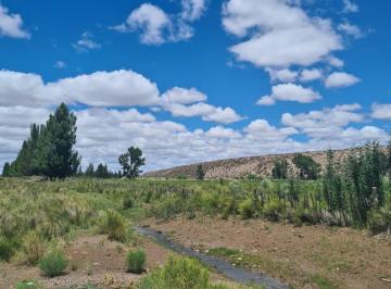 Campo , San Carlos · Campo 200 y 60 Ha con Vivienda - No Son Colinderas