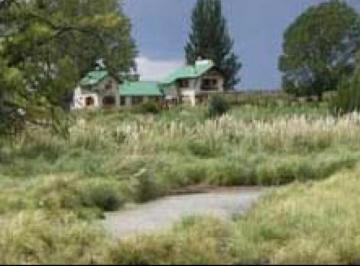 Campo , San Carlos · Campo / Finca 260 Ha / Para Varios Destinos
