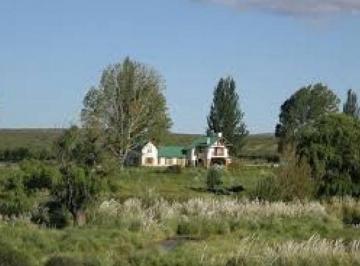 Campo , San Carlos · Campo / Finca 260 Ha / Para Varios Destinos