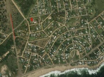 BPV-BPV-1700_2 · Lote | Cazon