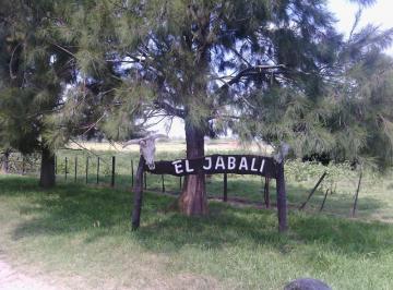 Campo · 140000m² · Campo - San Miguel del Monte