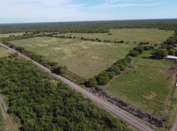 Campo de 3 ambientes, Sauce de Luna · 594 Campo Agrícola Ganadero con Buena Costa