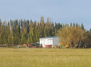Campo · 600m² · 3 Ambientes · Inmobiliaria Comodoro - Chubut - 60 Has Sobre Ruta Prov. 26 - Exlente Oportunidad