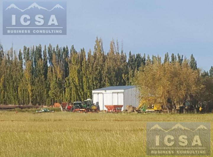 Campo · 600ha · 3 Ambientes
