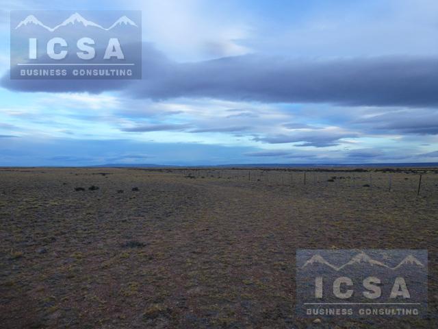 Campo · 200000000ha