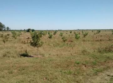 Campo de 1 ambiente, Los Charrúas · 44 Has Campo Agrícola Ganadero Forestal