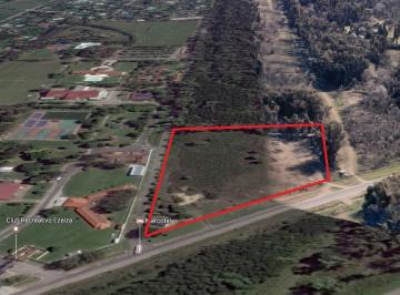 MOA-MOA-155_2 · Lote. | Ruta Camino Real