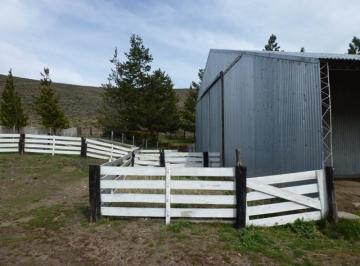 Campo · 69000000m² · 4 Dormitorios · Inmobiliaria Comodoro - Campo a 80 Km de Esquel Sobre Ruta 40 Pavimentada