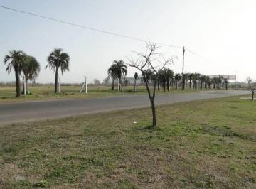 Terreno · 1m² · Hermoso Lote en Excelente Ubicacion en Parque La Naciones