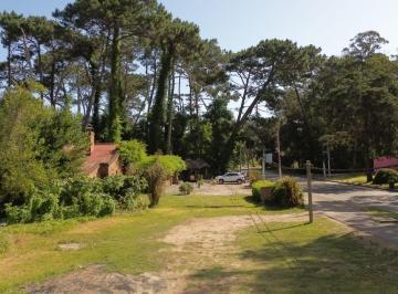 BPV-BPV-2838_2 · Lote | Av, Pedragosa Sierra