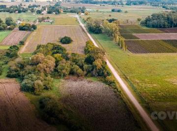 Campo · 77508m² · 1 Ambiente · Campo en Carmelo, Ideal Para Desarrollo Turístico, Inmobiliario, en Plena Zona Turistica