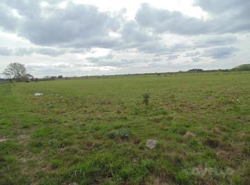 Campo · 423600m² · 1 Ambiente · Campo en Venta en Colonia Estrella, Carmelo