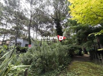 DIT-DT1-4475_2 · Lote. | Rosales