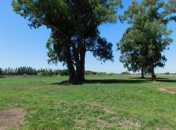 MRE-MRE-1318_2 · Venta Lote Terreno en Chascomus Chacra Campo Laguna