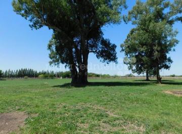 MRE-MRE-1318_2 · Venta Lote Terreno en Chascomus Chacra Campo Laguna