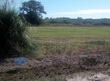 Terreno · 1500m² · Terreno en Venta en Real de San Carlos Colonia del Sacramento