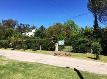 MOA-MOA-202_2 · Quinta | Rio Neuquen Al 100