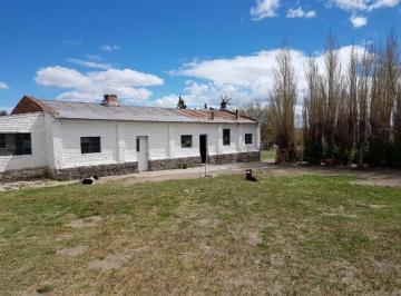Campo · 37600m² · 6 Ambientes · 2 Cocheras · Inmobiliaria Comodoro - Campo - Paso de Indios